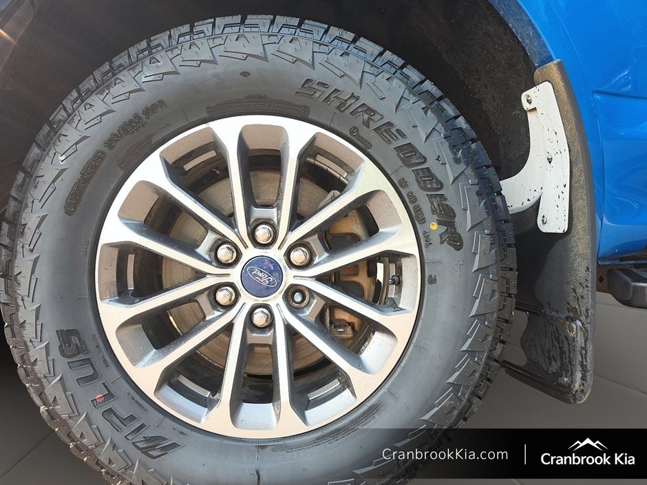 2019 Ford F-150 XLT-6
