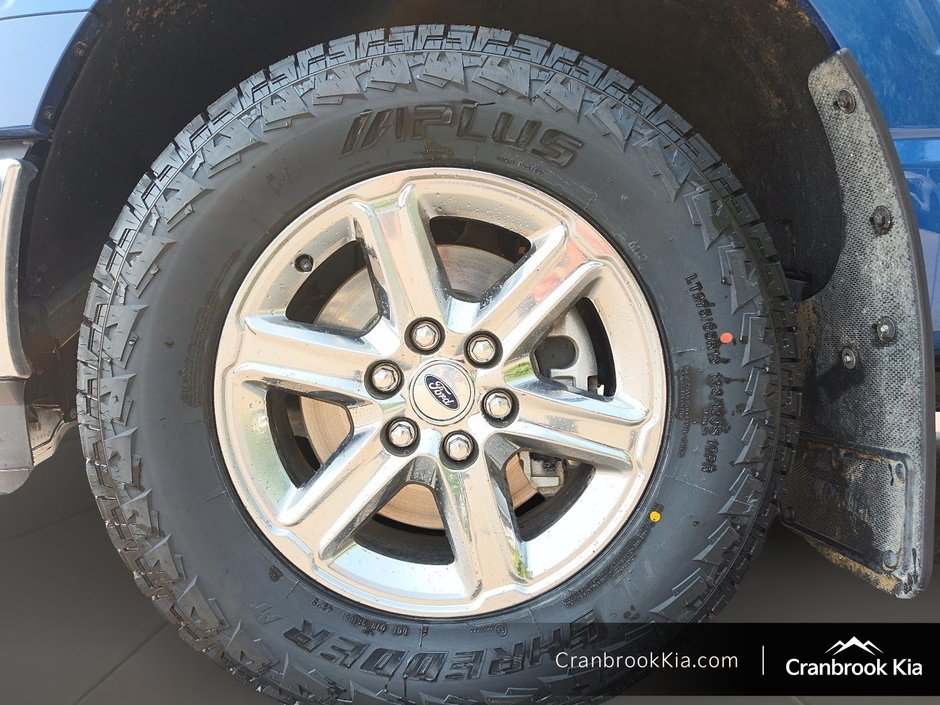 2024 Ford F-150 XLT-6