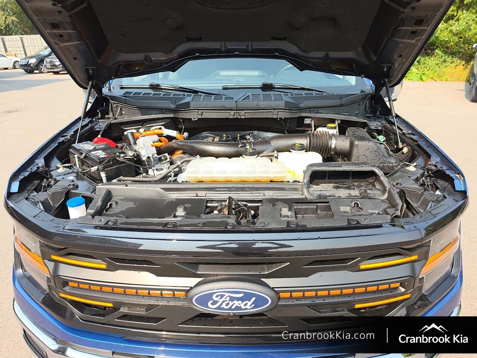 2024 Ford F-150 XLT-7