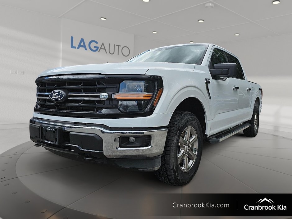 2025 Ford F-150 XLT-0