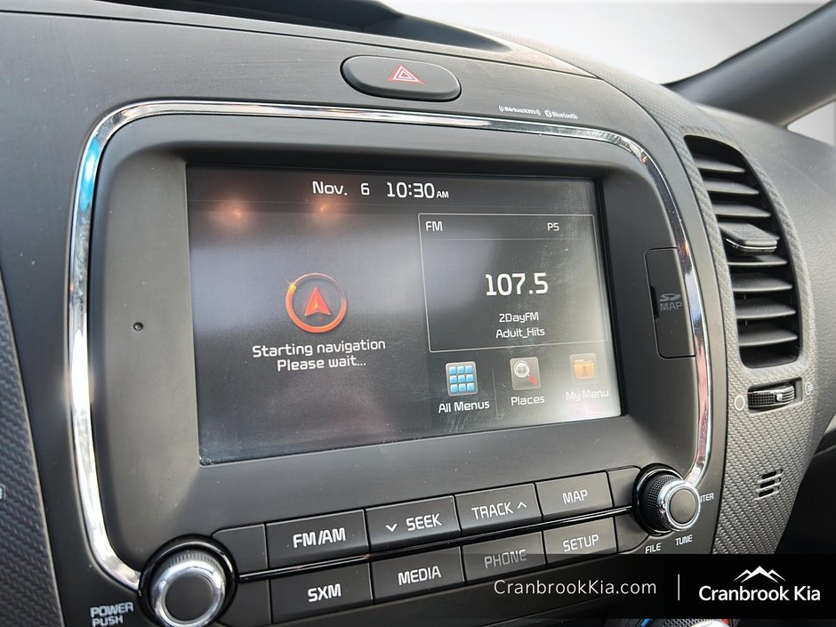 2017 Kia FORTE SX-18