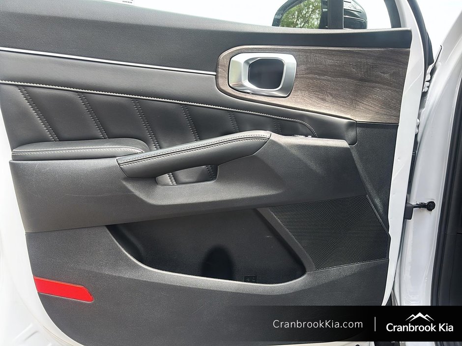 2021 Kia Sorento EX+-10