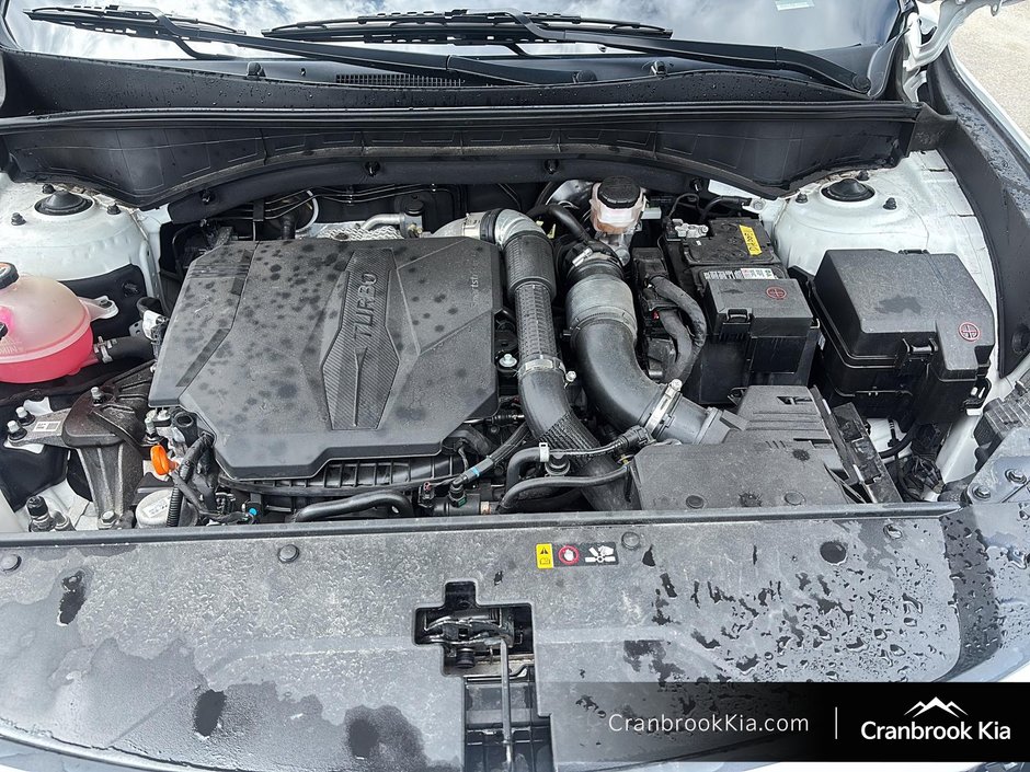 2021 Kia Sorento EX+-7