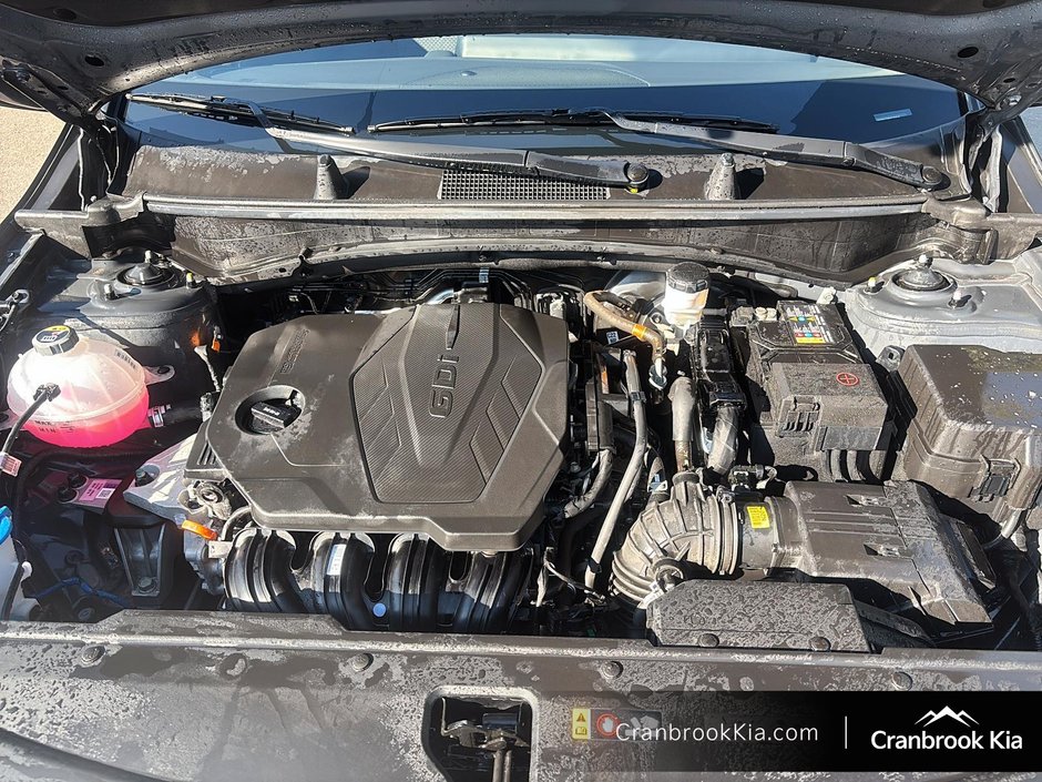 2024 Kia Sportage LX-7