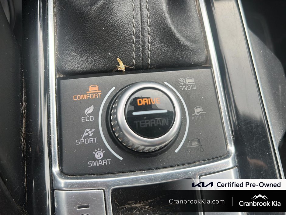 2020 Kia TELLURIDE SX-14