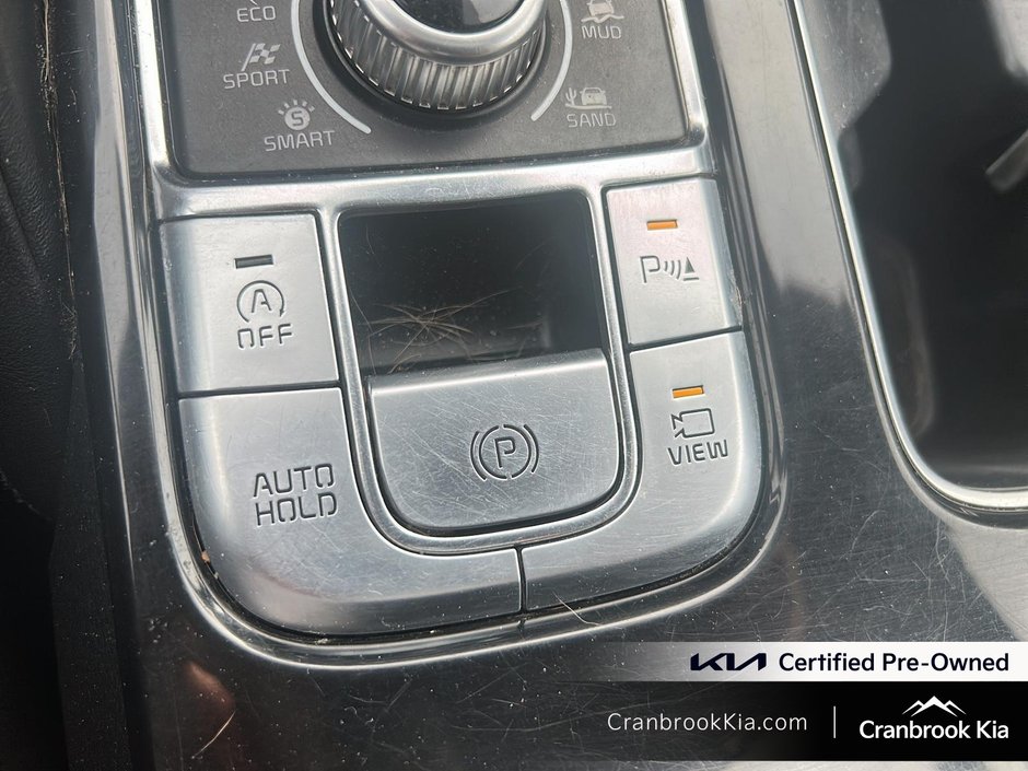 2020 Kia TELLURIDE SX-18