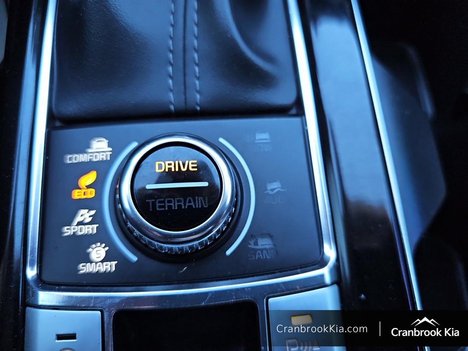 2024 Kia TELLURIDE EX-15