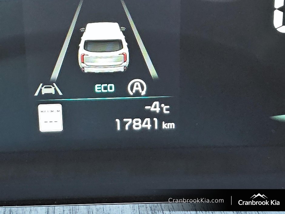 2024 Kia TELLURIDE EX-12