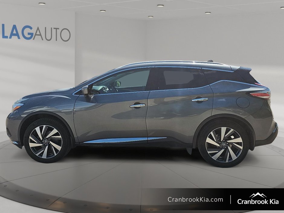 2017 Nissan MURANO PLATINUM-4