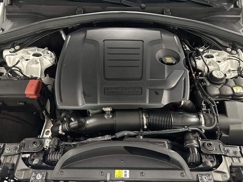 2024 Jaguar F-PACE P250 R-DYNAMIC S-17