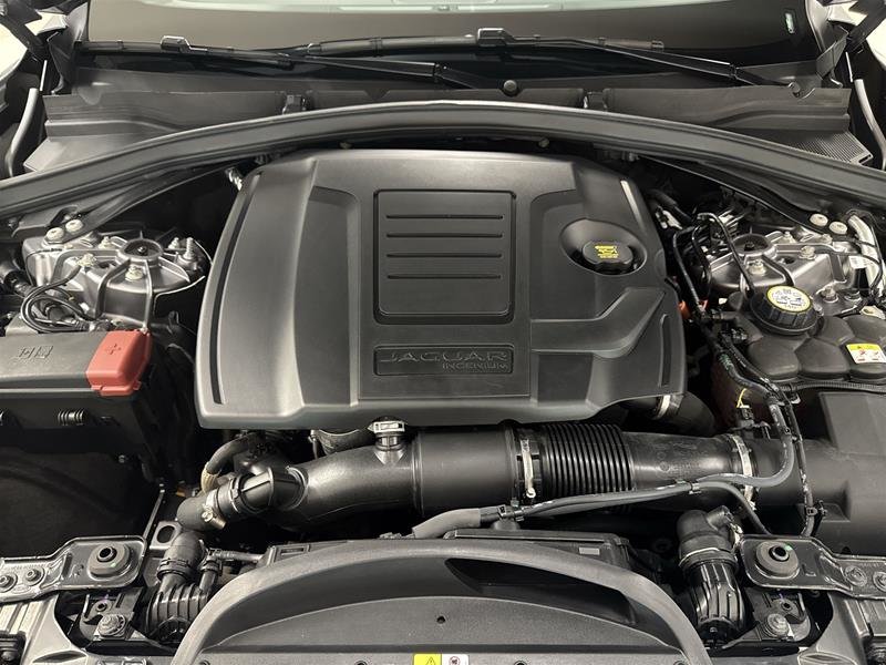 Jaguar F-PACE P250 R-DYNAMIC S 2024-17