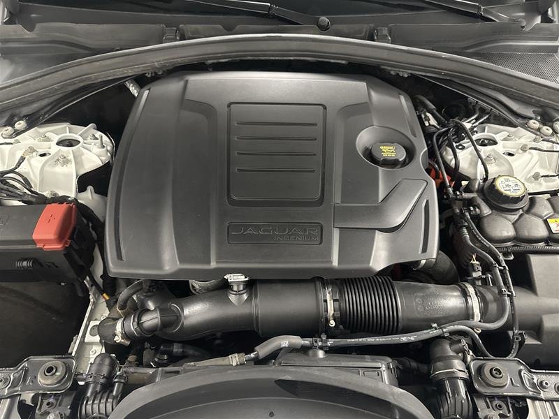 2024 Jaguar F-PACE P250 R-DYNAMIC S-17