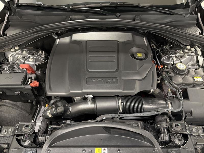 Jaguar F-PACE P250 R-DYNAMIC S 2024-17