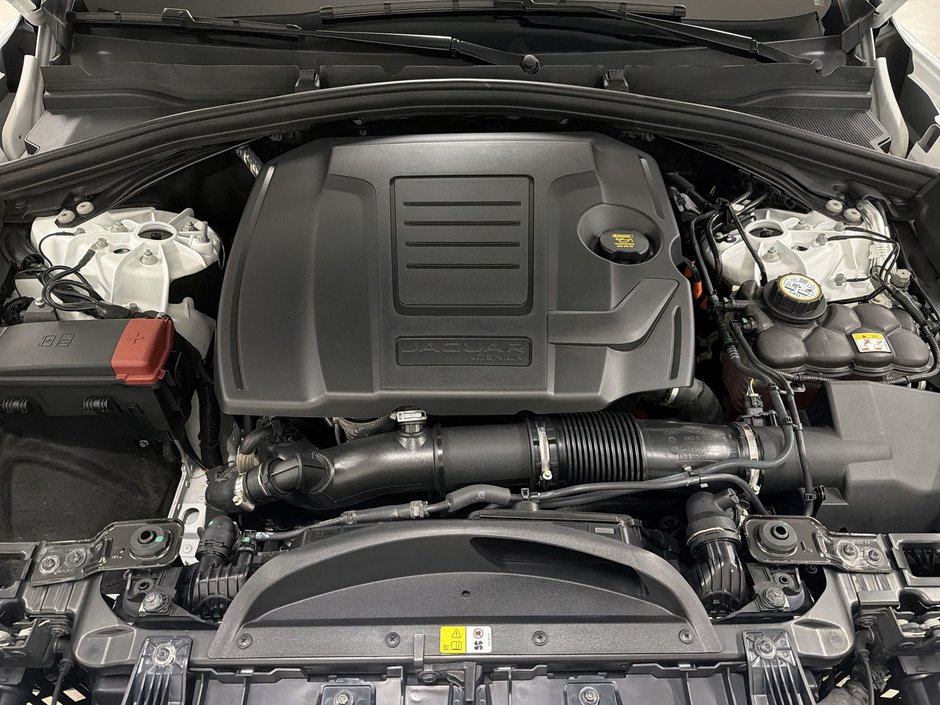 2026 Jaguar F-PACE P250 R-Dynamic S Auto-29