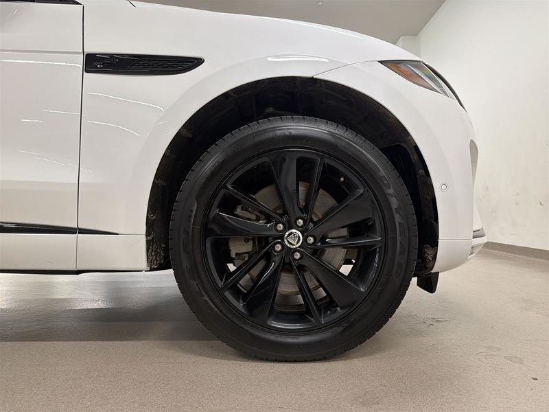Jaguar F-PACE P250 R-Dynamic S Auto 2026-17