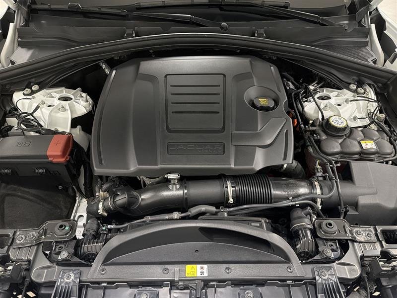 Jaguar F-PACE P250 R-Dynamic S Auto 2026-18