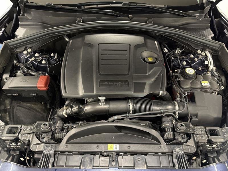 2026 Jaguar F-PACE P250 R-Dynamic S Auto-17