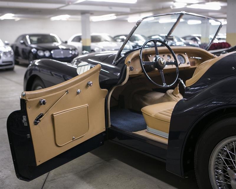 1955 Jaguar Unlisted Item-16