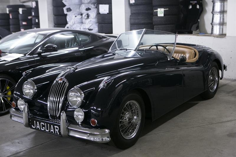 1955 Jaguar Unlisted Item-18