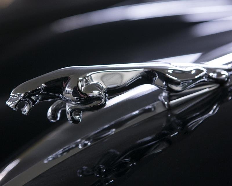 1955 Jaguar Unlisted Item-1