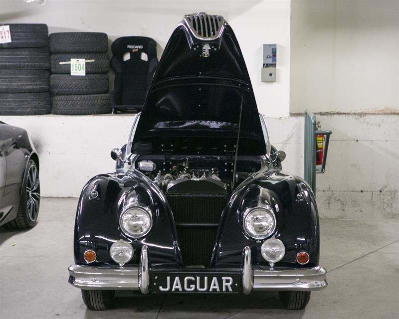 1955 Jaguar Unlisted Item-16