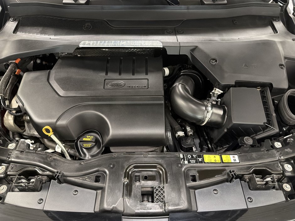 2024 Land Rover Discovery Sport P250 Dynamic SE-25