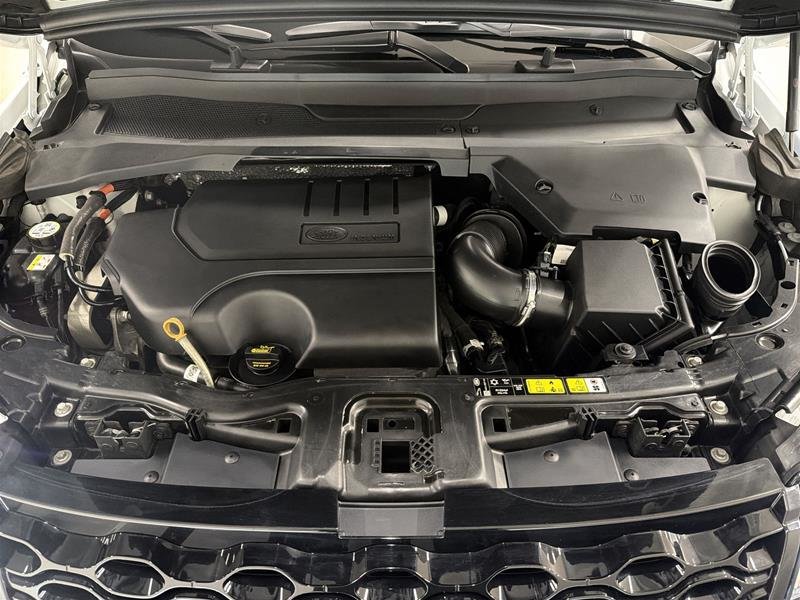 2024 Land Rover Discovery Sport P250 Dynamic SE-16