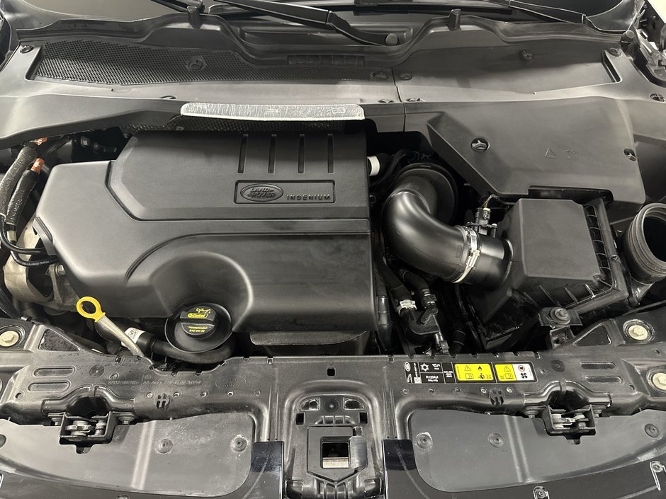 Land Rover Range Rover Evoque P250 S 2023-25