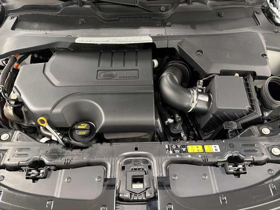 Land Rover Range Rover Evoque P250 S 2024-25