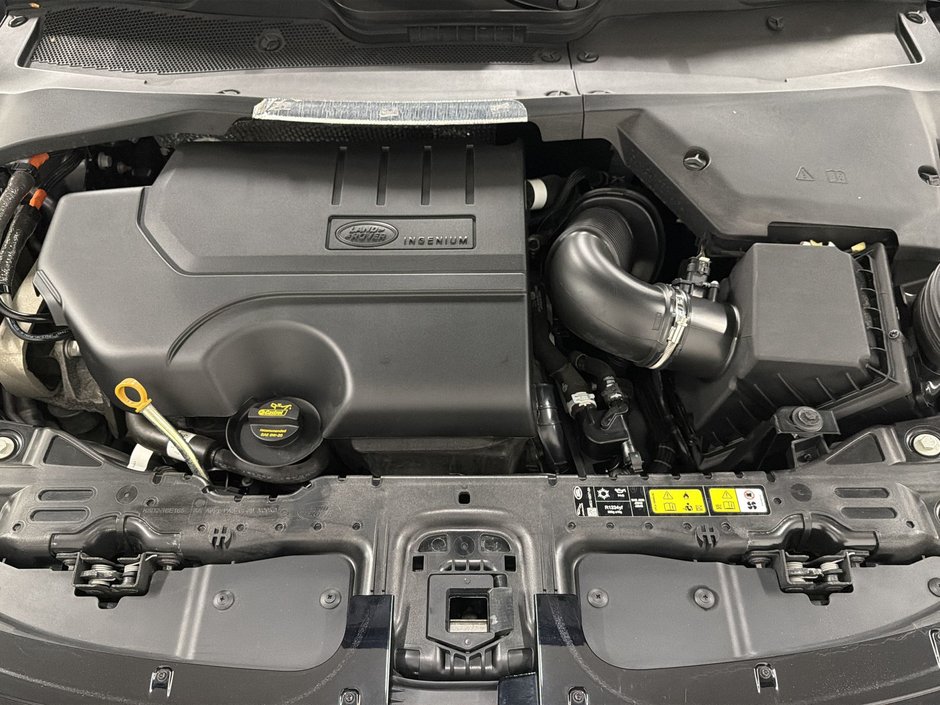 2024 Land Rover Range Rover Evoque P250 Dynamic SE-25