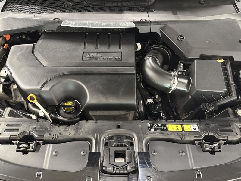 Land Rover Range Rover Evoque P250 S 2025-18