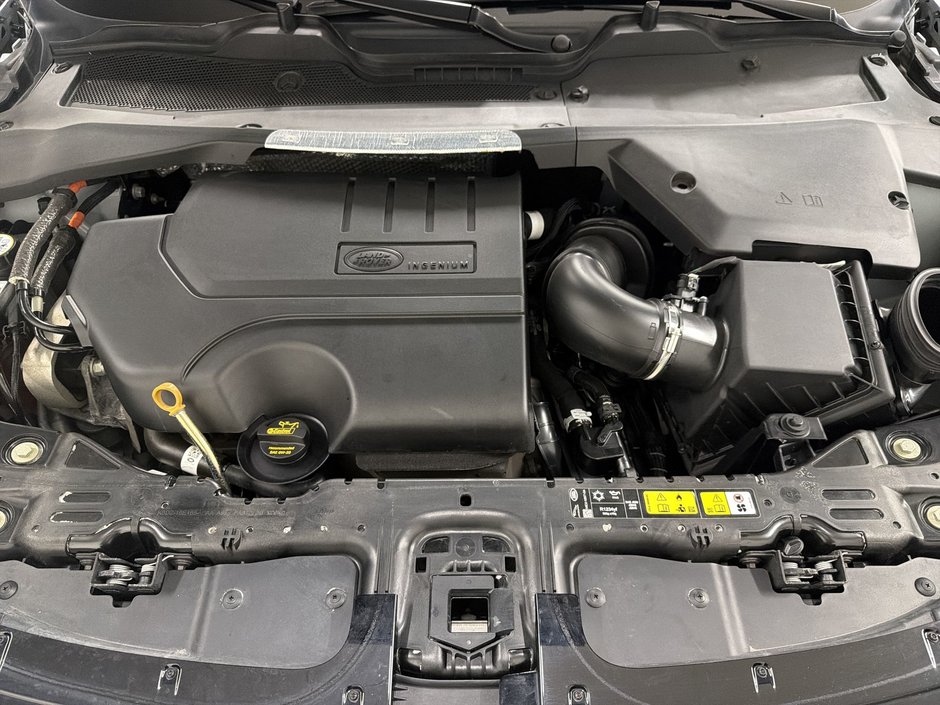 2025 Land Rover Range Rover Evoque P250 Dynamic SE-25