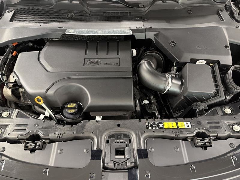 Land Rover Range Rover Evoque P250 S *Ltd Avail* 2026-17