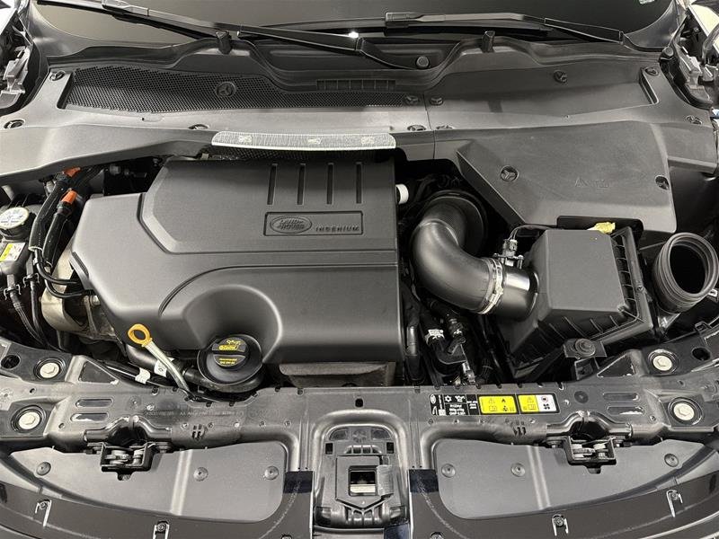 Land Rover Range Rover Evoque P250 S *Ltd Avail* 2026-17