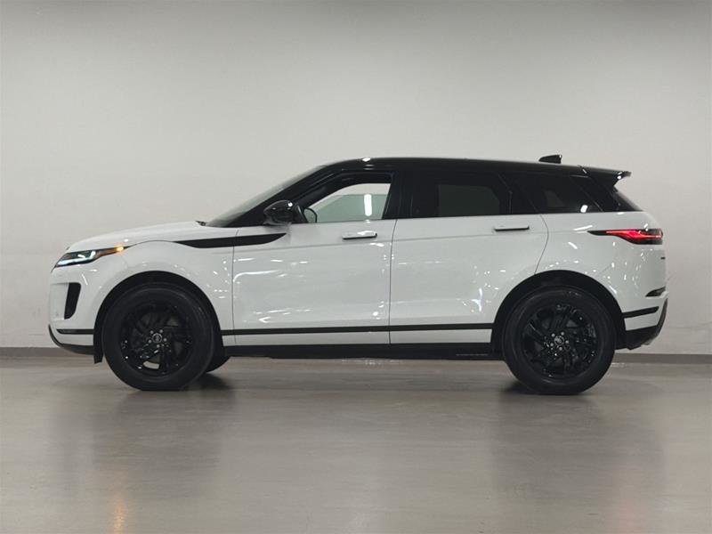 Land Rover Range Rover Evoque P250 S *Ltd Avail* 2026-3