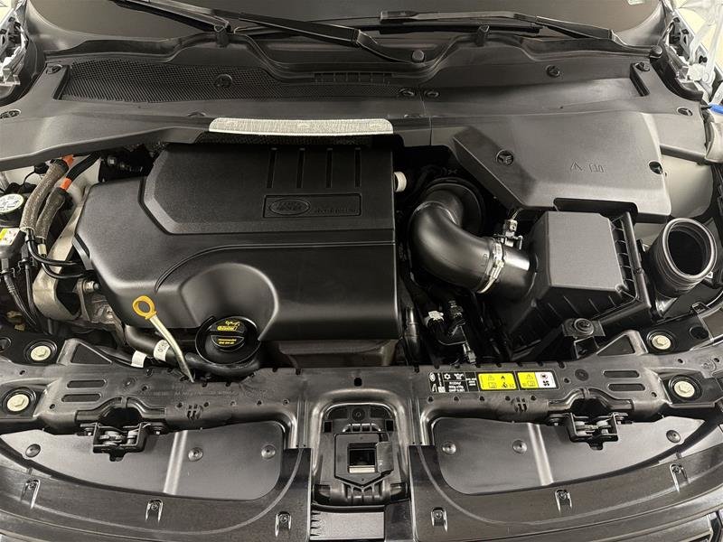 Land Rover Range Rover Evoque P250 S *Ltd Avail* 2026-18