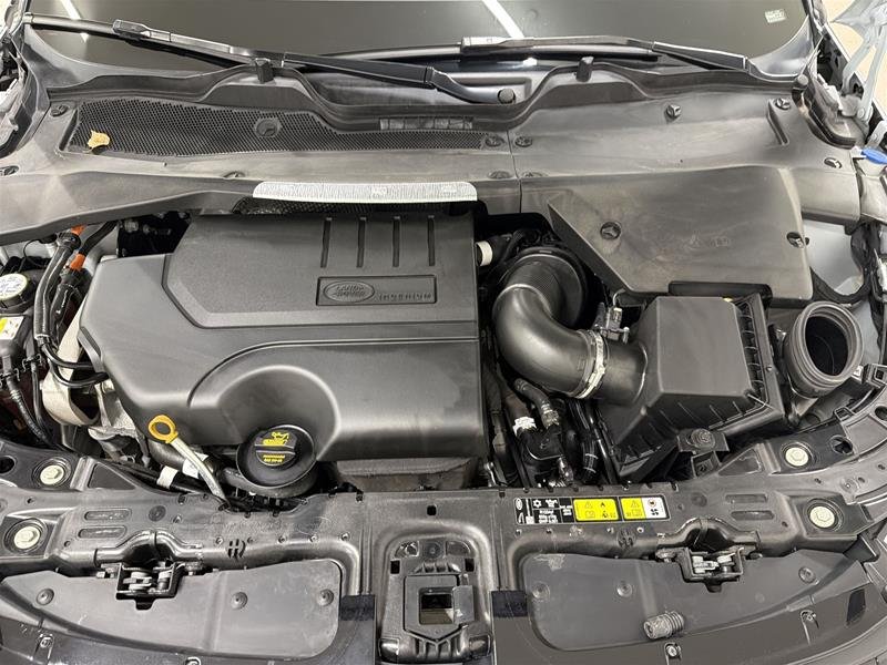 Land Rover Range Rover Evoque P250 Dynamic SE *Ltd Avail* 2026-15