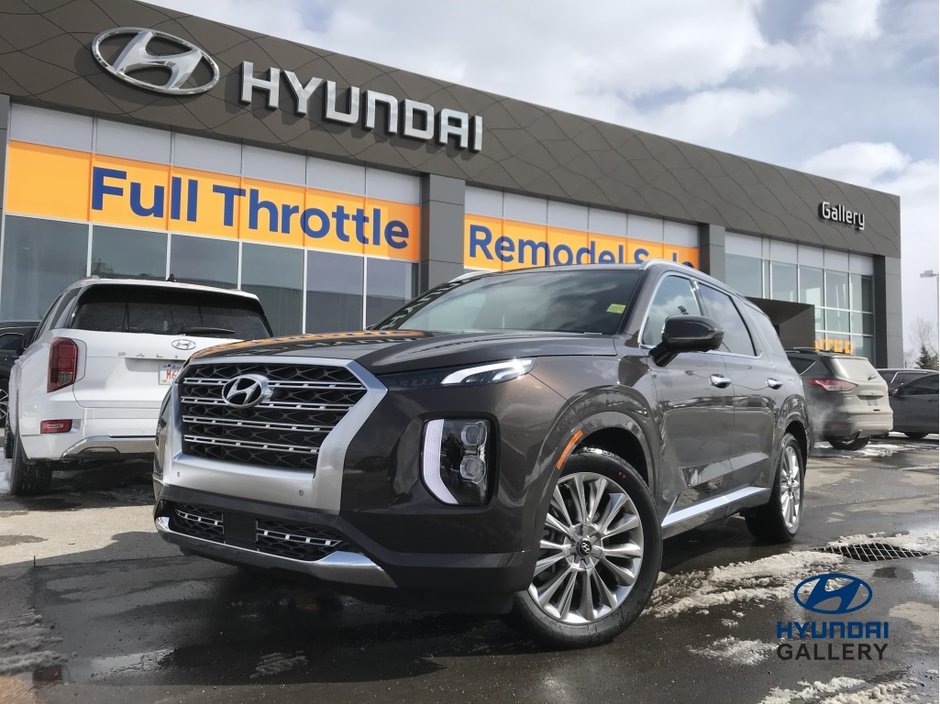 Bluelink hyundai palisade