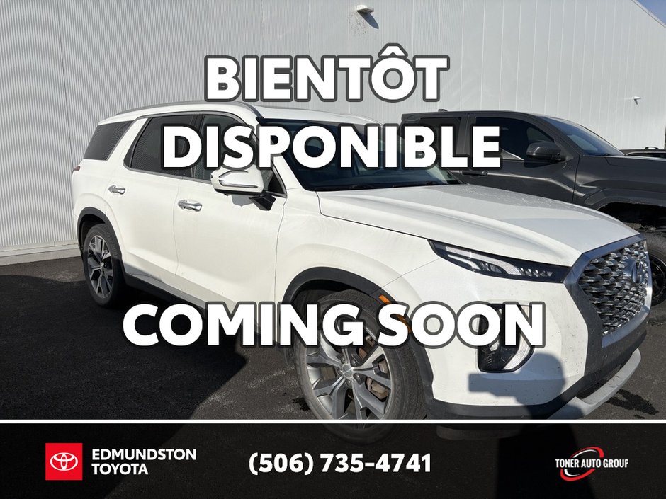 2021 Hyundai Palisade Luxury-0