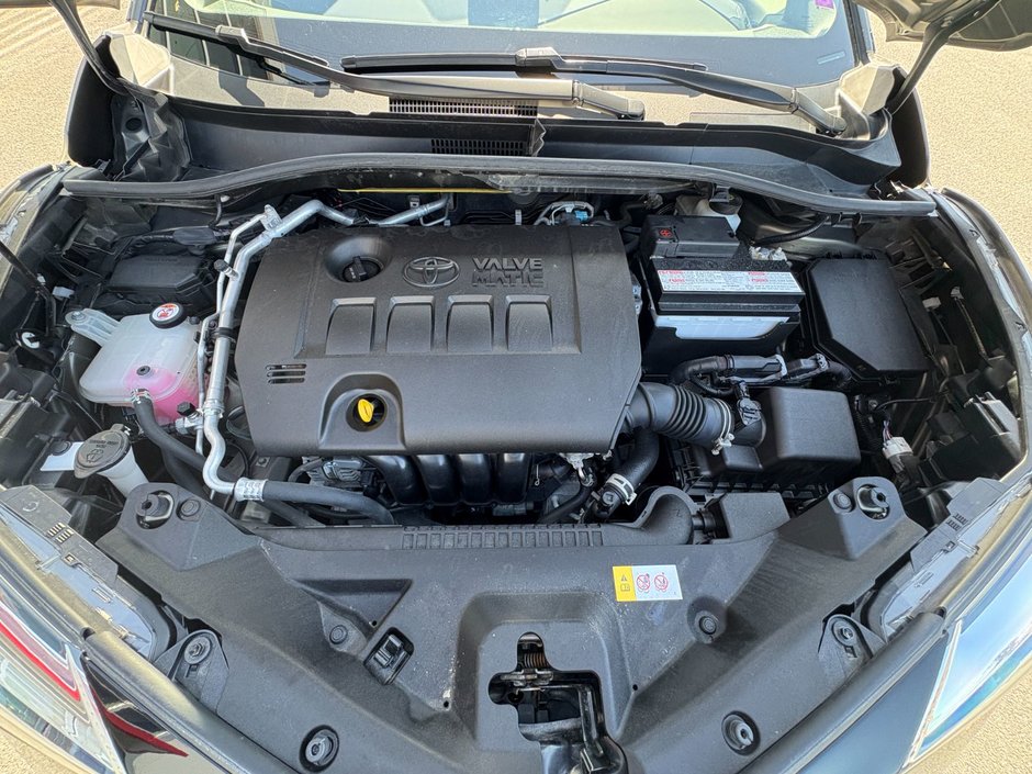Toyota C-HR XLE PREMIUM 2021-16