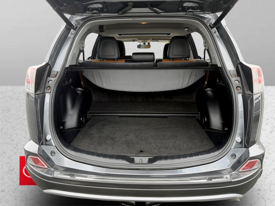 2016 Toyota RAV4 HYBRID Limited-14