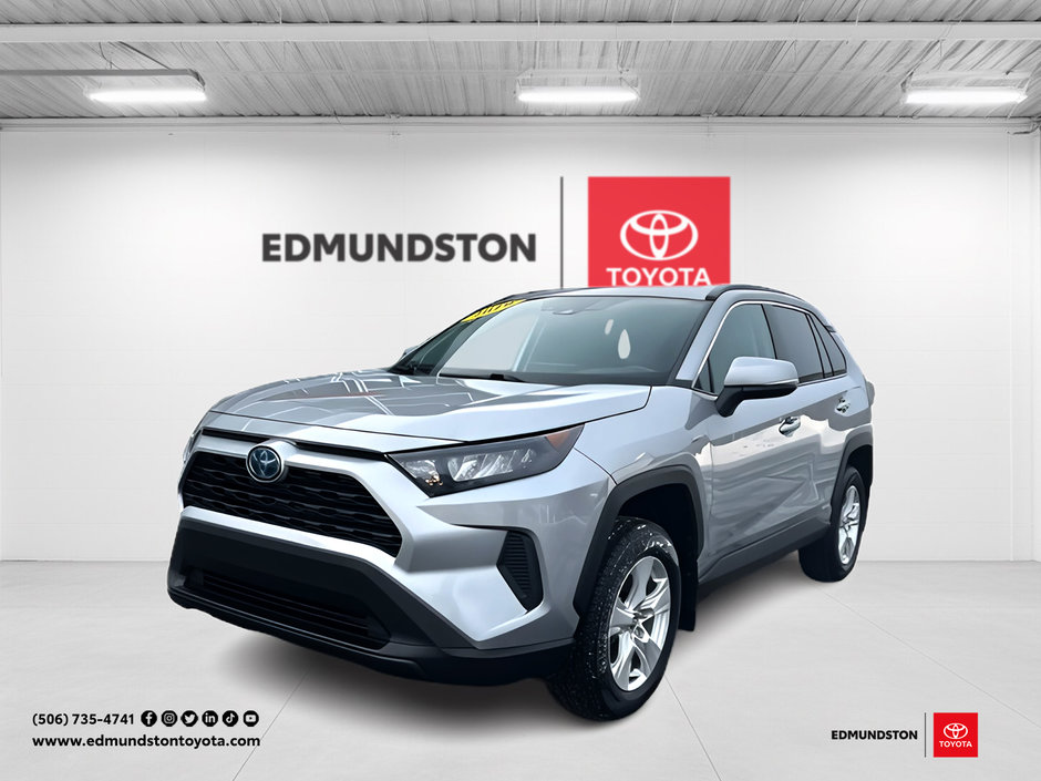 2019 Toyota RAV4 Hybrid LE-0