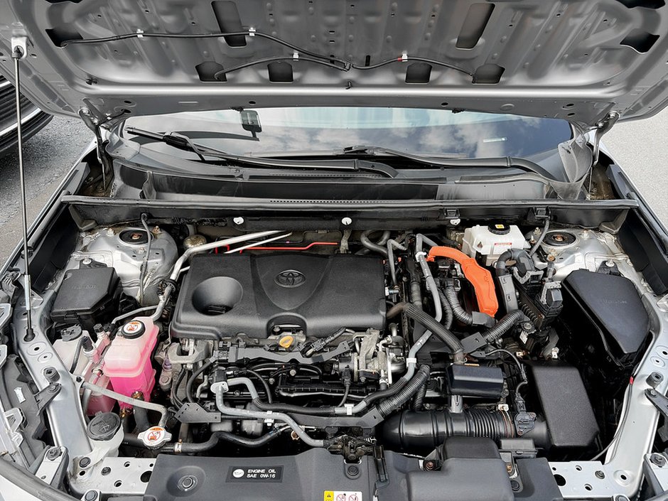 2019 Toyota RAV4 HYBRID Hybrid XLE-15