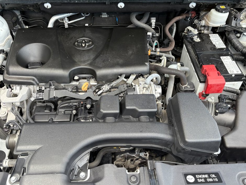 Toyota RAV4 LE AWD LE 2022-19