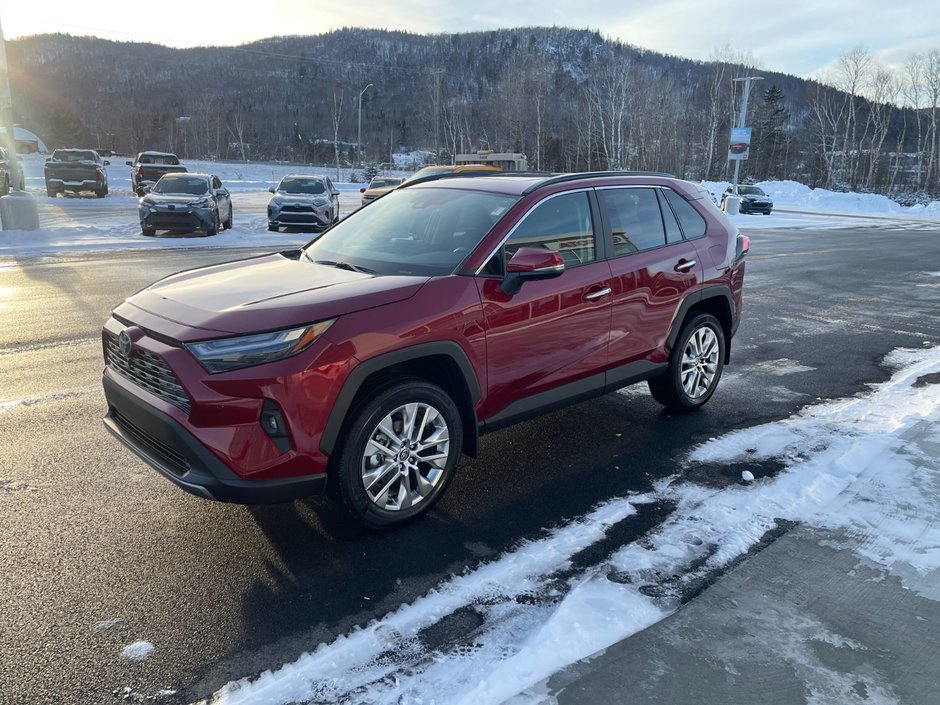 2025 Toyota RAV4 LIMITED-0