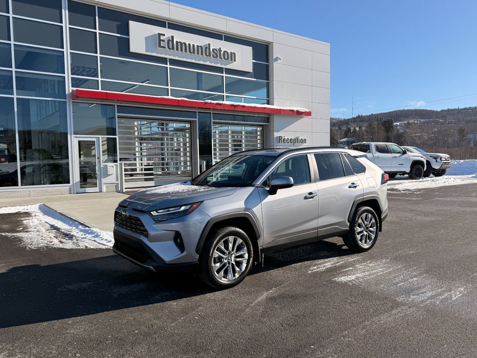2025 Toyota RAV4 LIMITED AWD Limited-0
