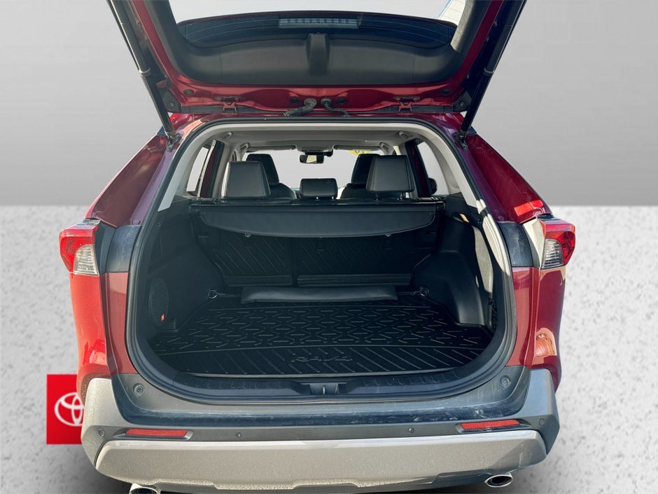 2019 Toyota RAV4 LIMITED Limited-12