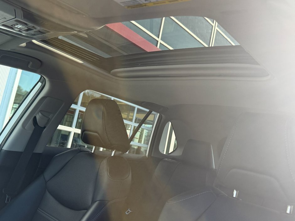 Toyota RAV4 Limited 2023-17