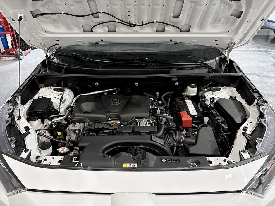2019 Toyota RAV4 LE-14