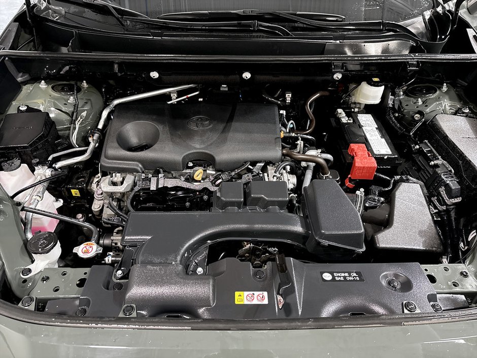 2024 Toyota RAV4 TRAIL-15